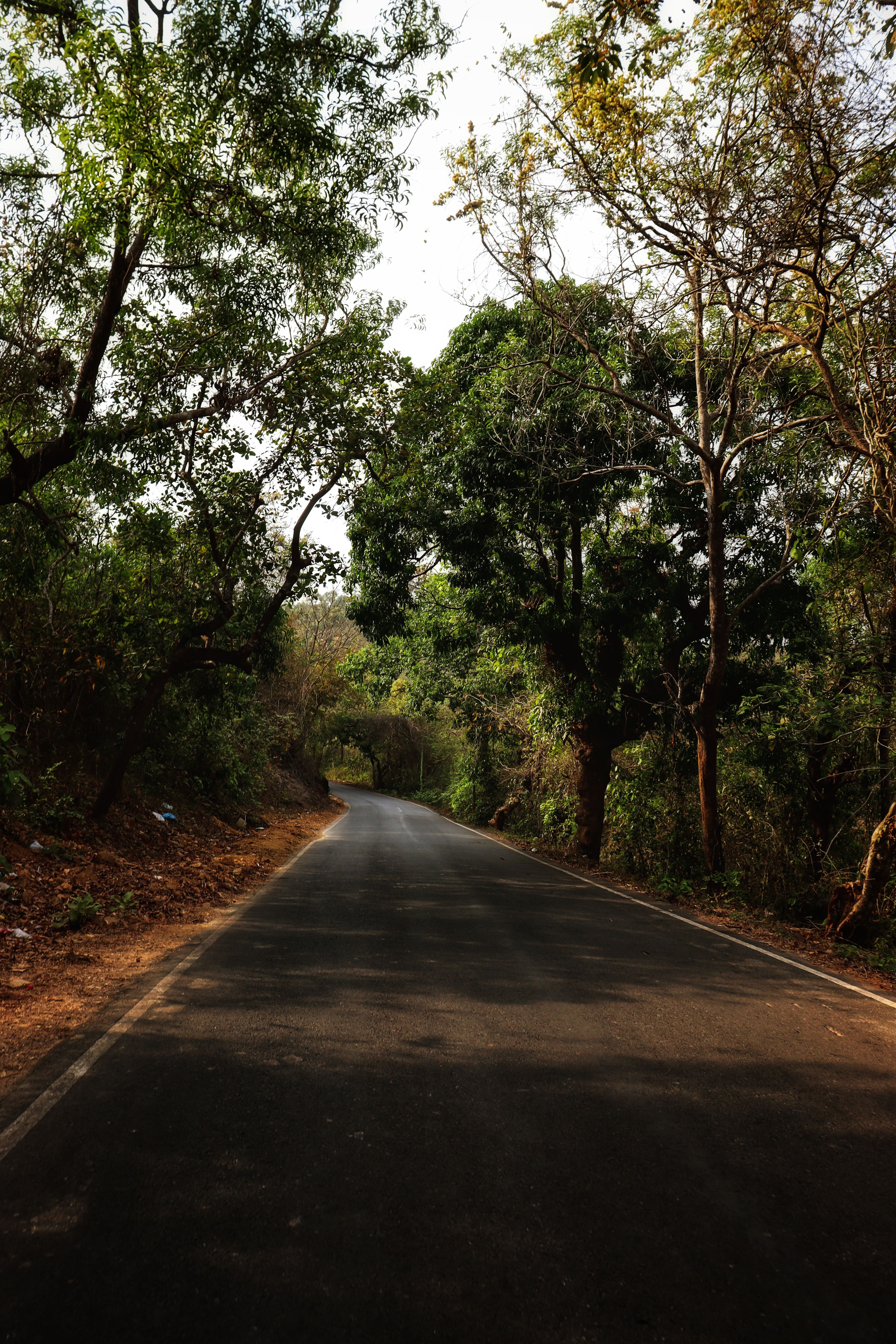 Kayaking on Kotepally Reservoir and forest photography