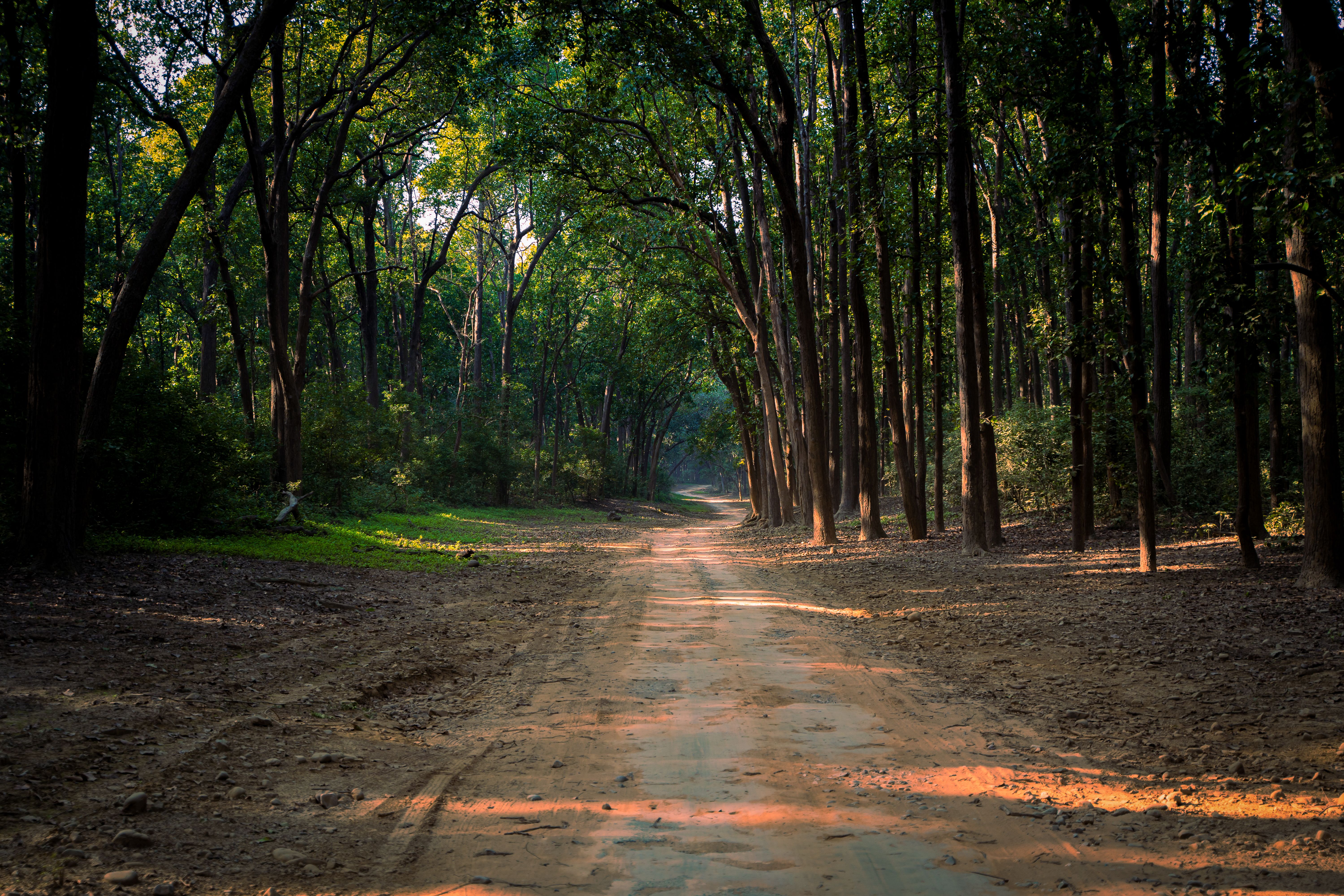 Birdwatching and campfire in Corbett